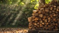 Nature's Warm Embrace: Stacked Firewood in Log Cabin Style