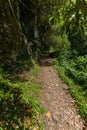 Nature Salto Do Prego trailhead at Faial Da Terra, Sao Miguel, Azores