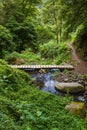 Nature Salto Do Prego trailhead at Faial Da Terra, Sao Miguel, Azores