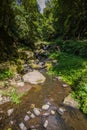 Nature Salto Do Prego trailhead at Faial Da Terra, Sao Miguel, Azores