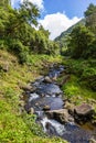 Nature Salto Do Prego trailhead at Faial Da Terra, Sao Miguel, Azores