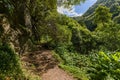 Nature Salto Do Prego trailhead at Faial Da Terra, Sao Miguel, Azores