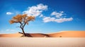 nature sand dune oases Royalty Free Stock Photo