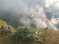 Scene and big rock on the top of mountain at Chaing mai, Thailand Royalty Free Stock Photo