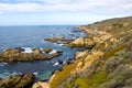 Nature scene on monterey bay Royalty Free Stock Photo