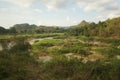 Nature scene beside railway in Chiangmai Royalty Free Stock Photo