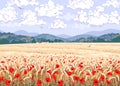 Nature Scene with Ripe Wheat Field and Red Poppy Flowers