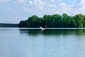 Nature scene of seagull flying over the water of a lake