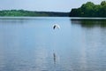 Nature scene of seagull flying over the water of a lake