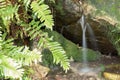 A Nature scene of a Small waterfall with silk effect into andean rainforest