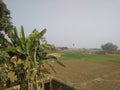 nature scene, village field photography.