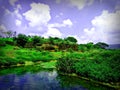 Nature scene in the western ghat.