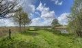 Nature scenery around Rijssen Royalty Free Stock Photo