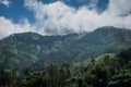 Nature scenery green mountain, mount merbabu in Indonesia
