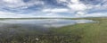 Nature scenery lake and grass