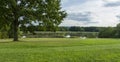 Nature scenery sight with tree meadow and pond