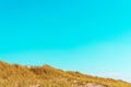 Nature scenery on Sylt island with the marram grass dunes and the blue sky Royalty Free Stock Photo