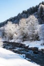 Nature Scenes winter landscape river. Royalty Free Stock Photo