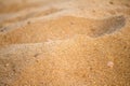 Nature sea sand background texture Photography. Royalty Free Stock Photo