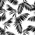 Nature seamless pattern. Hand drawn tropical summer background: black palm tree leaves. Royalty Free Stock Photo