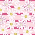 Nature seamless pattern with random daisy flowers print. Pink striped background. Floral abstract backdrop Royalty Free Stock Photo