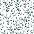 Nature seamless pattern. Twigs with transparent dark green leaves on white background