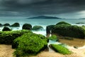 Nature Seascape with Green Moss Covered Rocks at Beach and Dark, Dramatic Sky during A Storm Royalty Free Stock Photo