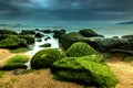 Nature Seascape with Green Moss Covered Rocks at Beach and Dark, Dramatic Sky during A Storm Royalty Free Stock Photo