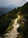 Walkway in a rainy country