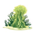 nature seaweed illustration