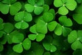 Nature shamrock leaf clover luck close green up