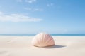 Shell blue coast beach summer travel nature seashell sea tropical sand water Royalty Free Stock Photo