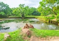 The nature of Sigiriya Water Gardens