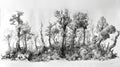 nature sketches, a captivating autumn forest scene drawn in black pen, featuring tall trees and a diverse array of