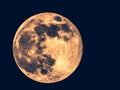 Full shot of the moon