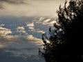 Nature with Sky Clouds, Tree and Distant Sunset Royalty Free Stock Photo