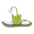 Nature snowdrop icon cartoon vector. Spring flower