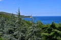 The nature of the southern coast of Crimea - the sea, pines and mountains Royalty Free Stock Photo