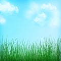 Nature spring background. Grass background. Summer. Idyll.