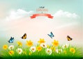 Nature spring background with grass and flowers and butterflies. Royalty Free Stock Photo