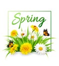 Nature spring background with grass, flowers and butterflies. Royalty Free Stock Photo