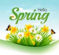 Nature spring background with a green grass and flowers and butterflies. Royalty Free Stock Photo