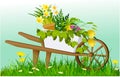 Nature spring background with wheelbarrow and garden plants