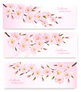 Nature spring banners with al pink sakura branches.