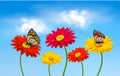 Nature spring gerber flowers with butterflies