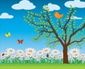 Nature spring scene Royalty Free Stock Photo