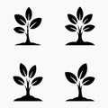 Nature sprouting tree silhouette icons pack Royalty Free Stock Photo