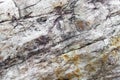 Nature stone, Big stone background, beautiful stone surface Royalty Free Stock Photo