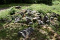 Nature stone rocks ruins, Yvoir, Dinant, Wallonia, Belgium Royalty Free Stock Photo