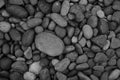 nature stone, Shiny black lava pebbles on the beach, Black lava pebble stone Royalty Free Stock Photo
